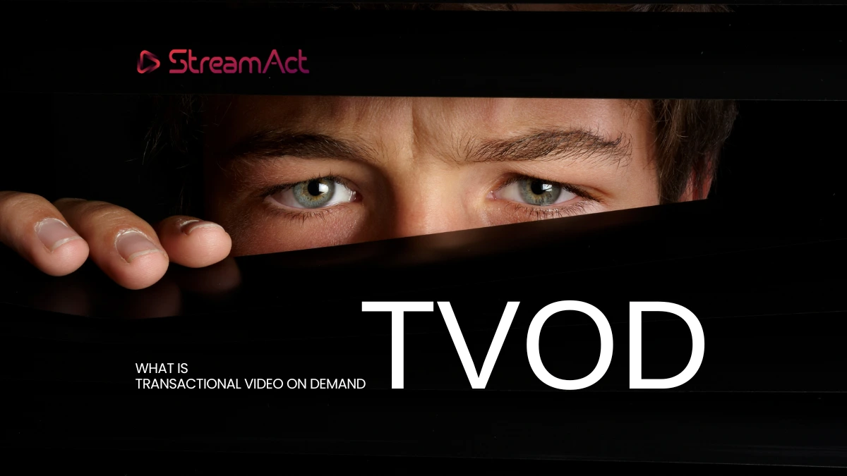 TVOD (Transactional Video on Demand)